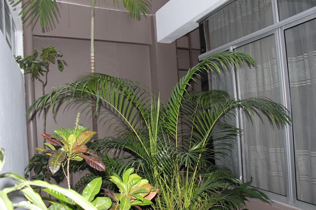 Arenal By Regina Hotel